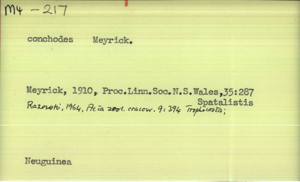 front of card